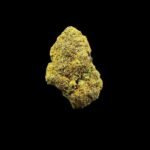Buy Pink Slurricane Strain 1LB Online